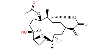 Dendronpholide Q